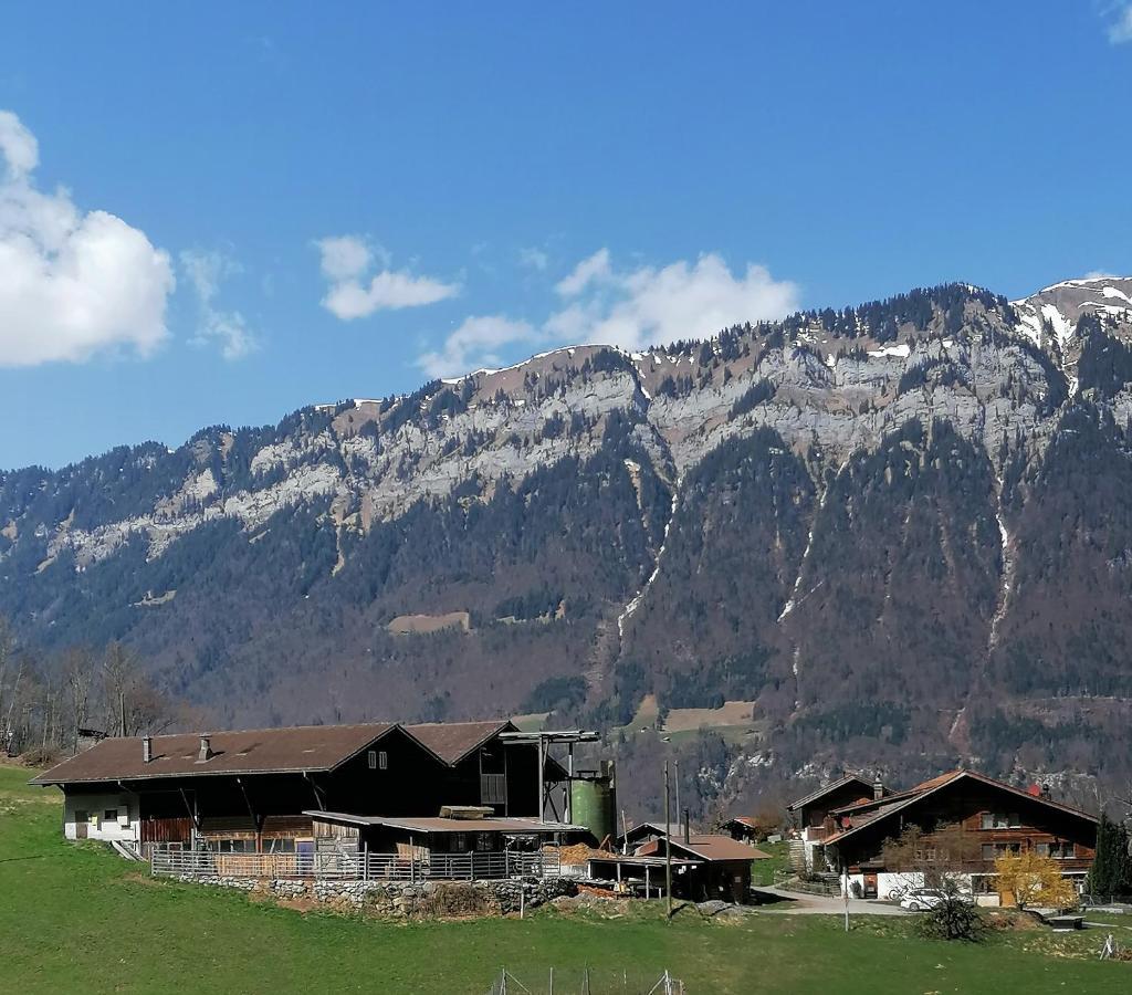 Appartement Brunners Harzerhof à Iseltwald Extérieur photo