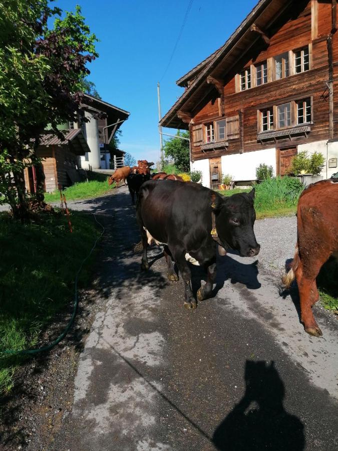 Appartement Brunners Harzerhof à Iseltwald Extérieur photo